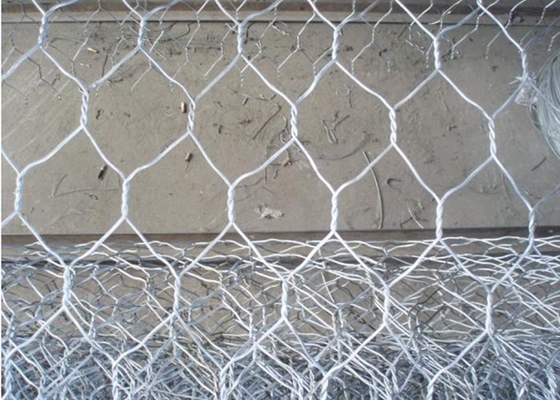 50x50mm 3.0mm Chicken Hexagonal Wire Netting Animal Cage Wire Mesh